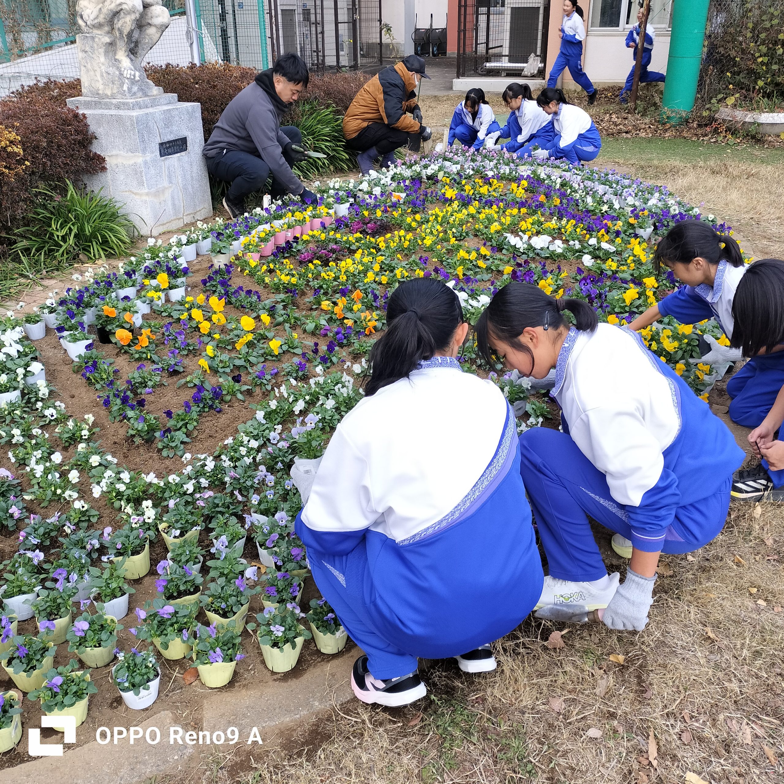 🦀花壇アート🦀