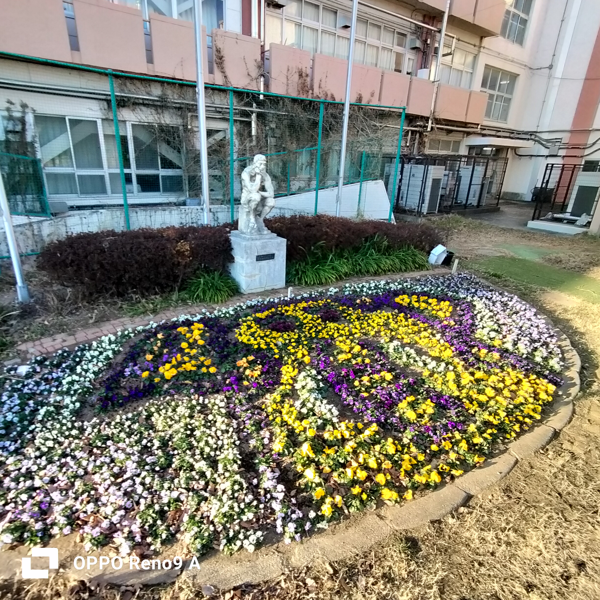 🦀花壇アート🦀